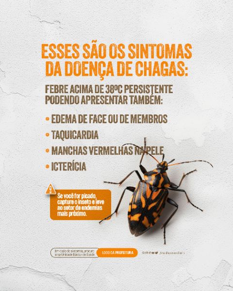SOCIAL MEDIA - DOENÇA DE CHAGAS - QUAIS SÃO OS SINTOMAS