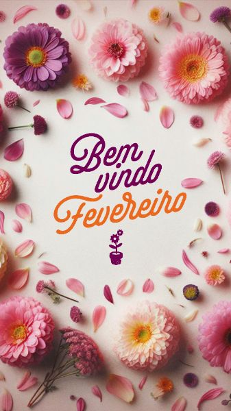 STORY - BEM-VINDO FEVEREIRO