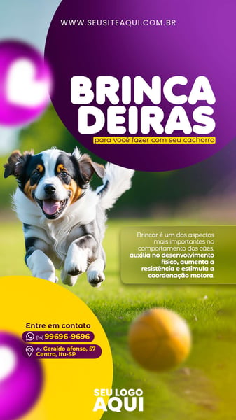 STORY - PET SHOP | CLINICA VETERINÁRIA