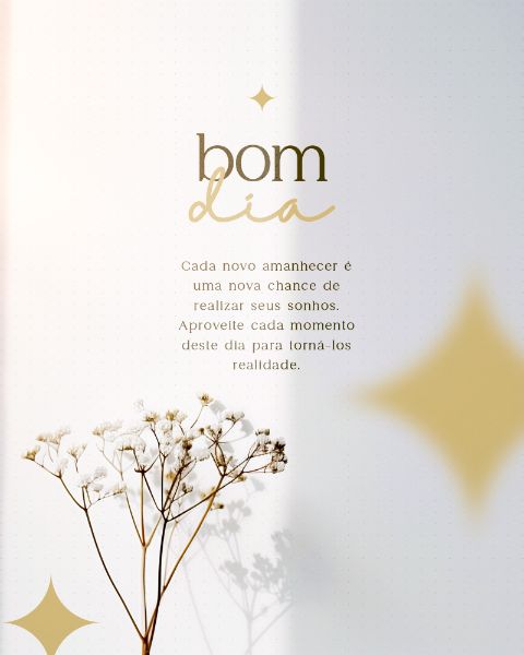 BOM DIA SOCIAL MEDIA FEED VERTICAL