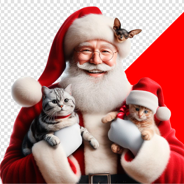 IMAGEM DE PAPAI NOEL COM GATOS E CACHORRO SEM FUNDO