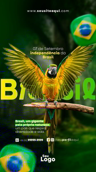 STORY DIA DA INDEPENDÊNCIA DO BRASIL PRANCHETA 4