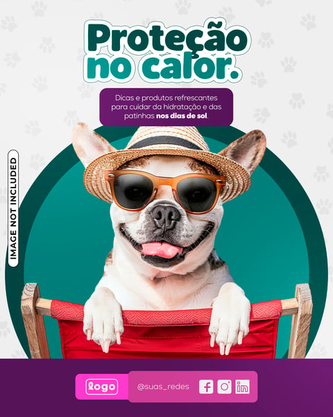 POST CARD PET SHOP