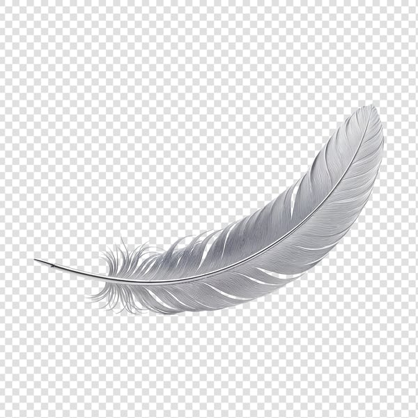 PENA BRANCA COM DETALHES PRATEADOS 01