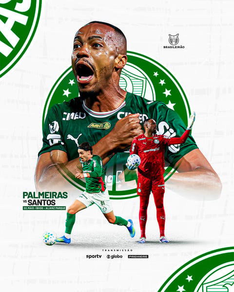 26 JOGO DO PALMEIRAS