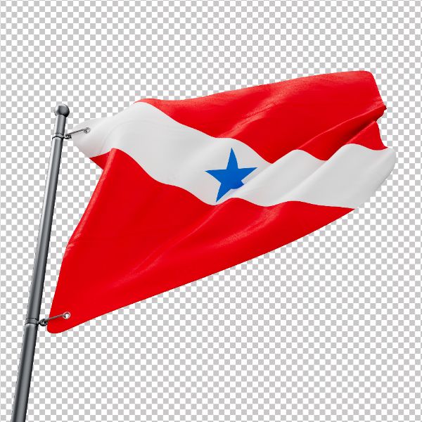 ASSET - BANDEIRA DO ESTADO DO PARÁ - FUNDO TRANSPARENTE