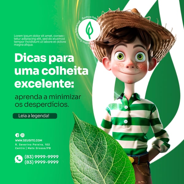 AGRONEGÓCIO DICAS PARA SUA COLHEITA