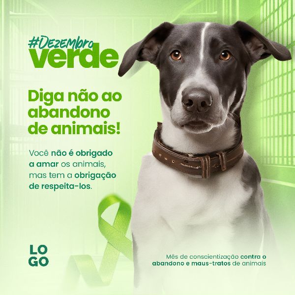 DEZEMBRO VERDE 3