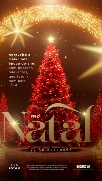 FELIZ NATAL (10)