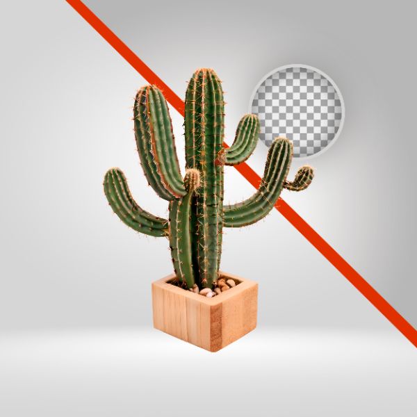 CACTO 3D, MANDACARU, ELEMENTO PNG COM FUNDO TRANSPARENTE, NORDESTE, INTERIOR, SERTANEJO, VAQUEJADA
