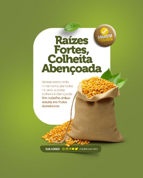 SOCIAL MEDIA - AGRONEGÓCIO - RAIZES FORTES, COLHEITA ABENÇOADA