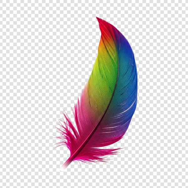 PENA COLORIDA DE AVE 02