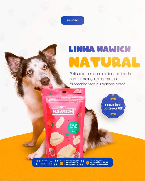 PETSHOP SOCIAL MEDIA POST FEED VERTICAL