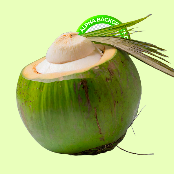 ELEMENTO COCO VERDE PARA COMPOSIÇÃO PNG TRANSPARENTE SEM FUNDO