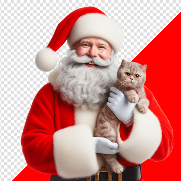 IMAGEM DE PAPAI NOEL COM GATO SEM FUNDO