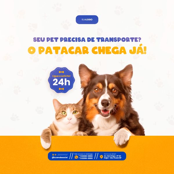 PETSHOP SOCIAL MEDIA POST FEED