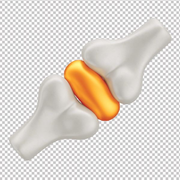 ASSET 3D - OSSO LIGAMENTO EM 3D COM FUNDO TRANSPARENTE