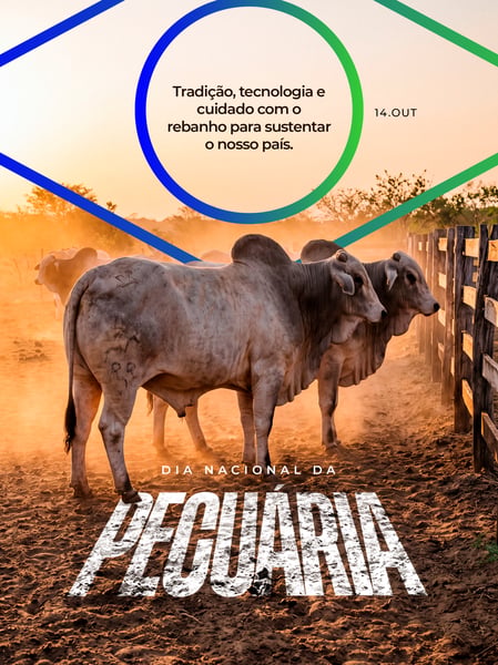DIA NACIONAL DA PECUÁRIA GADO DE CORTE SOCIAL MEDIA FLYER PSD EDITÁVEL