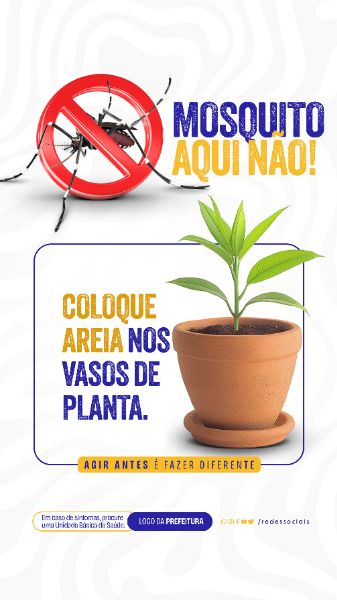 STORY - DENGUE - COLOQUE AREIA NOS VASOS DE PLANTA