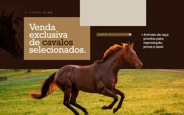 BANNER VENDA EXCLUSIVA DE CAVALOS SELECIONADOS HARAS SOCIAL MEDIA PSD EDITÁVEL