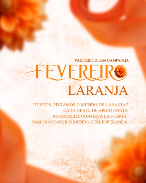 FEVEREIRO E LARANJA 13