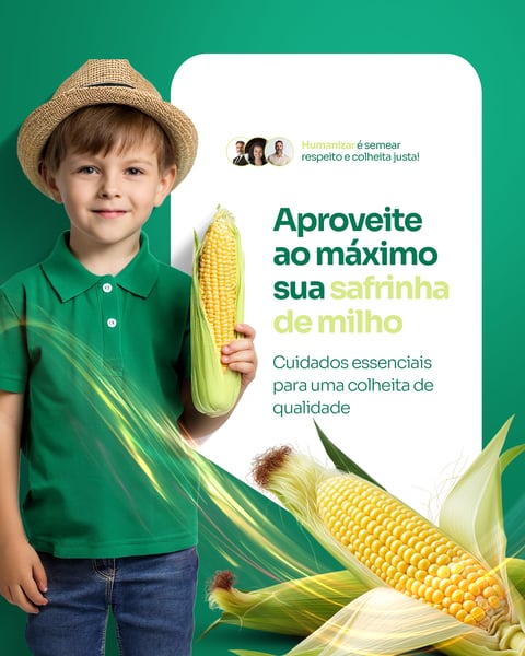 CONSULTORIA AGRONÔMICA - MILHO SAFRINHA