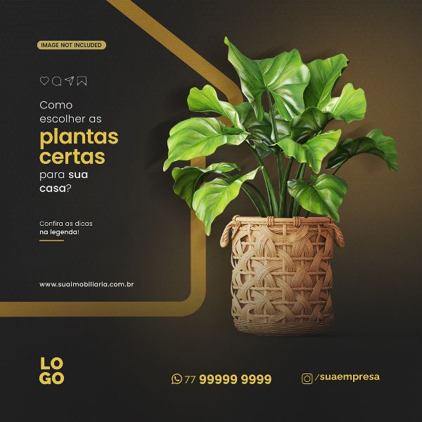COMO ESCOLHER AS PLANTAS CERTAS PARA SUA CASA - IMOBILIÁRIA