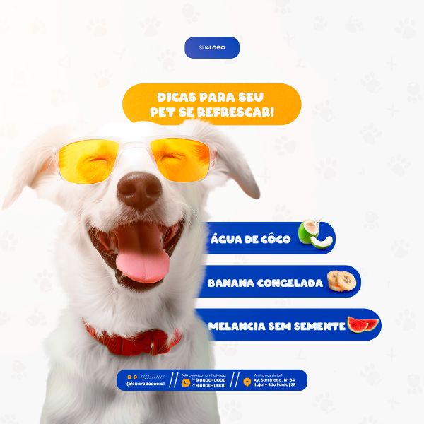 PETSHOP SOCIAL MEDIA POST FEED