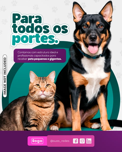 POST CARD PET SHOP