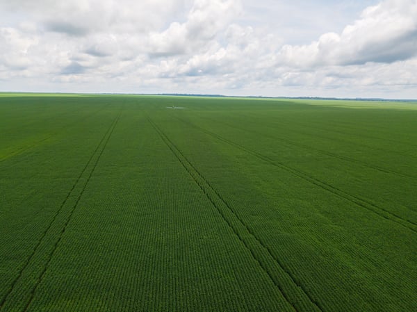 LAVOURA DE SOJA DRONE RASTROS