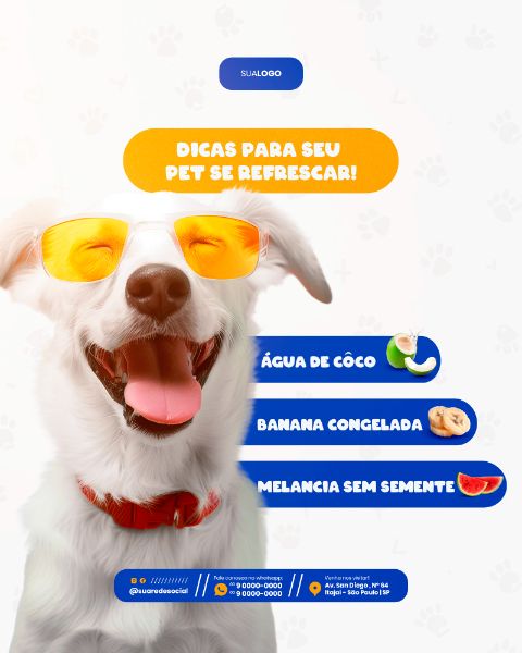 PETSHOP SOCIAL MEDIA POST FEED VERTICAL