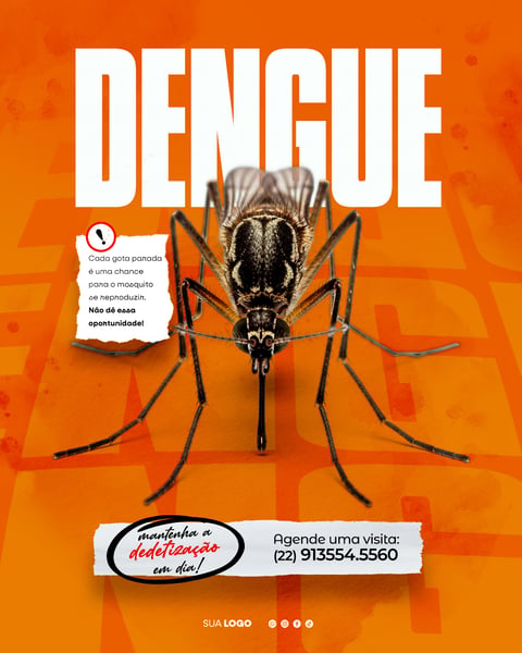 DEDETIZAÇÃO DENGUE