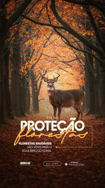 11 DE JULHO - DIA DE PROTEÇÃO ÀS FLORESTAS FLYER SOCIAL MEDIA PSD EDITÁVEL