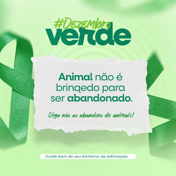 DEZEMBRO VERDE 1