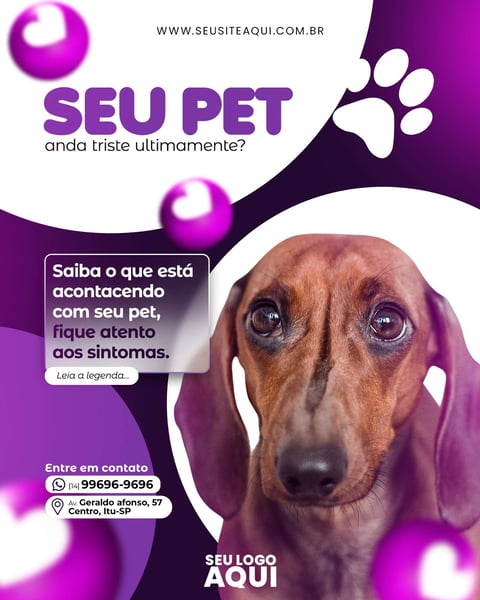 POST FEED - PET SHOP | CLINICA VETERINÁRIA
