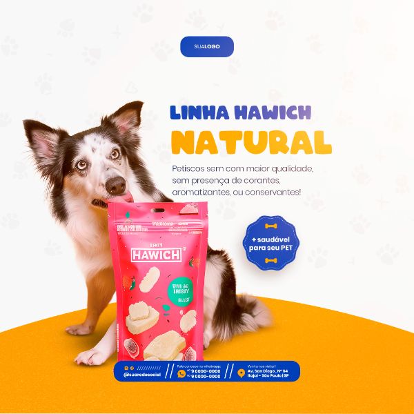 PETSHOP SOCIAL MEDIA POST FEED