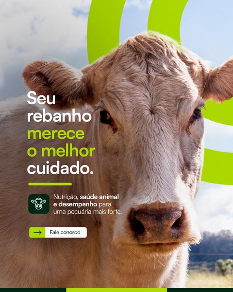 SOCIAL MEDIA AGRO SEU REBANHO PSD EDITÁVEL