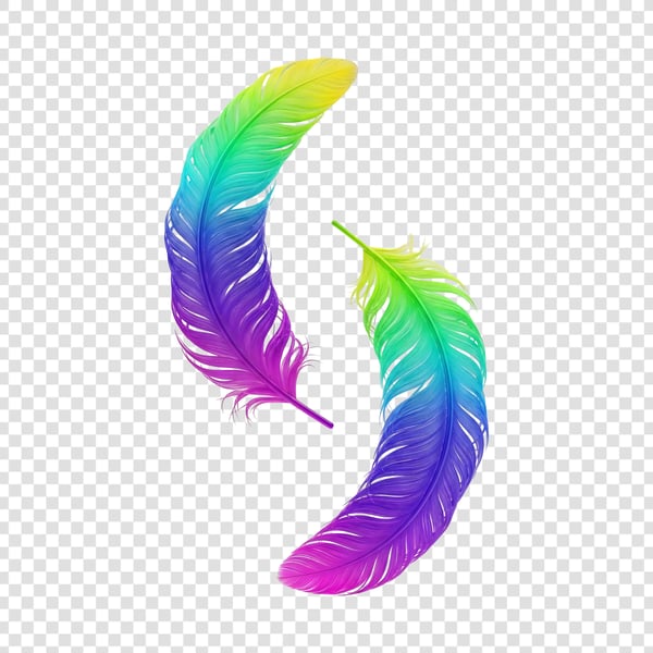 PENAS COLORIDAS DE AVES 10