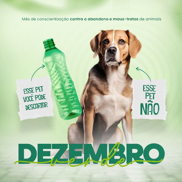 DEZEMBRO VERDE 8