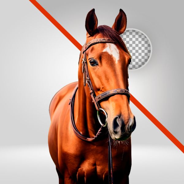 CAVALO VERMELHO, ELEMENTO PNG, COMPOSIÇÃO DE VAQUEJADA, CAVALGADA, VAQUEIRO