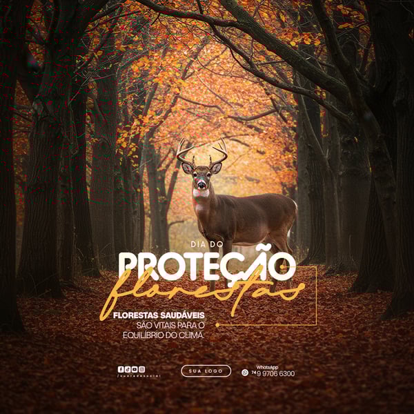 Dia de Proteção às Florestas