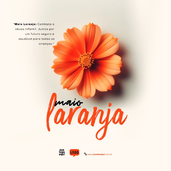 MAIO LARANJA CAMPANHA SOCIAL MEDIA FEED