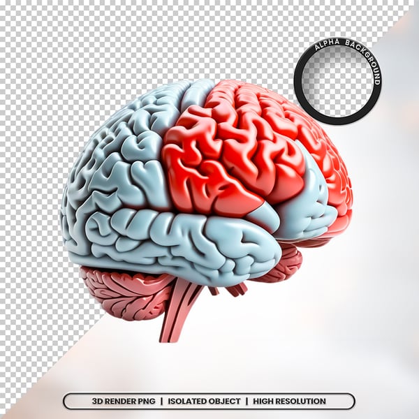 3D RENDER CÉREBRO NEUROCIÊNCIA ELEMENTO ÍCONE PSD PNG