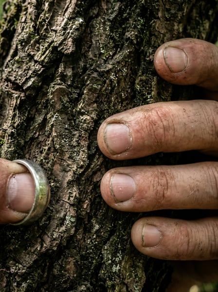 MAO TOCANDO TRONCO ÁRVORE CONEXÃO NATUREZA 2