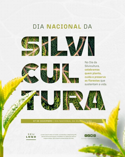 DIA NACIONAL DA SILVICULTURA 07 DE DEZEMBRO SOCIAL MEDIA PSD EDITÁVEL (1)