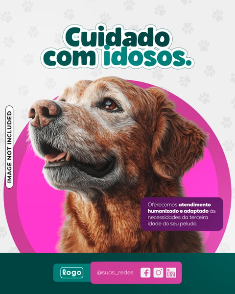 POST CARD PET SHOP