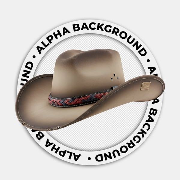 CHAPÉU DE COWBOY PEÃO 4