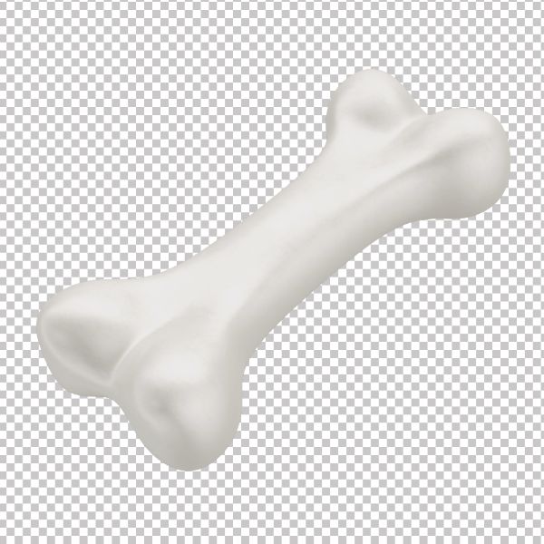 ASSET 3D - OSSO EM 3D COM FUNDO TRANSPARENTE