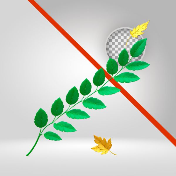 FOLHA RAMOS, FOLHAS PNG 3D, PLANTAS, DECORAÇÃO, COMPOSIÇÕES DE FLYERS, HORTIFRUTI, CAMPANHA VERDE, AGRO, AGRICULTURA