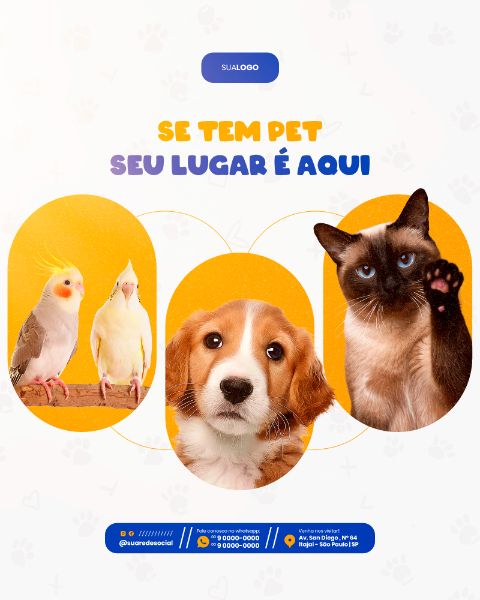 PETSHOP SOCIAL MEDIA POST FEED VERTICAL